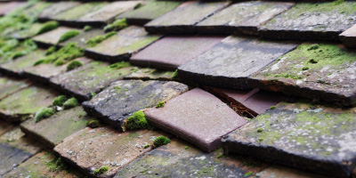 Pendine roof repair costs